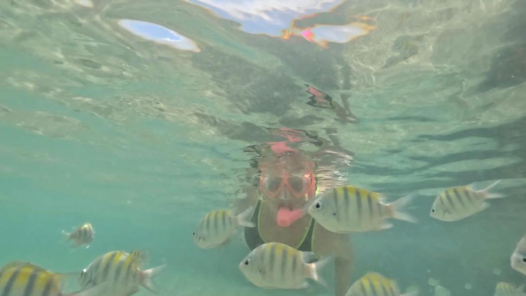 Photo of Others in Tamandare