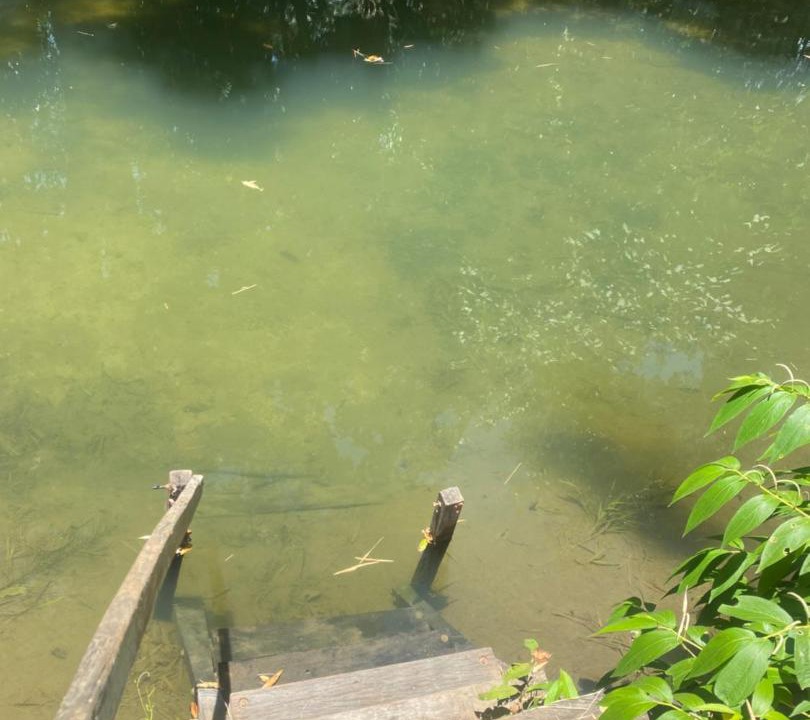 Photo of Others in Bodoquena
