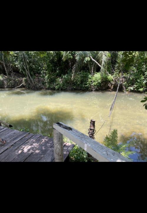 Photo of Others in Bodoquena