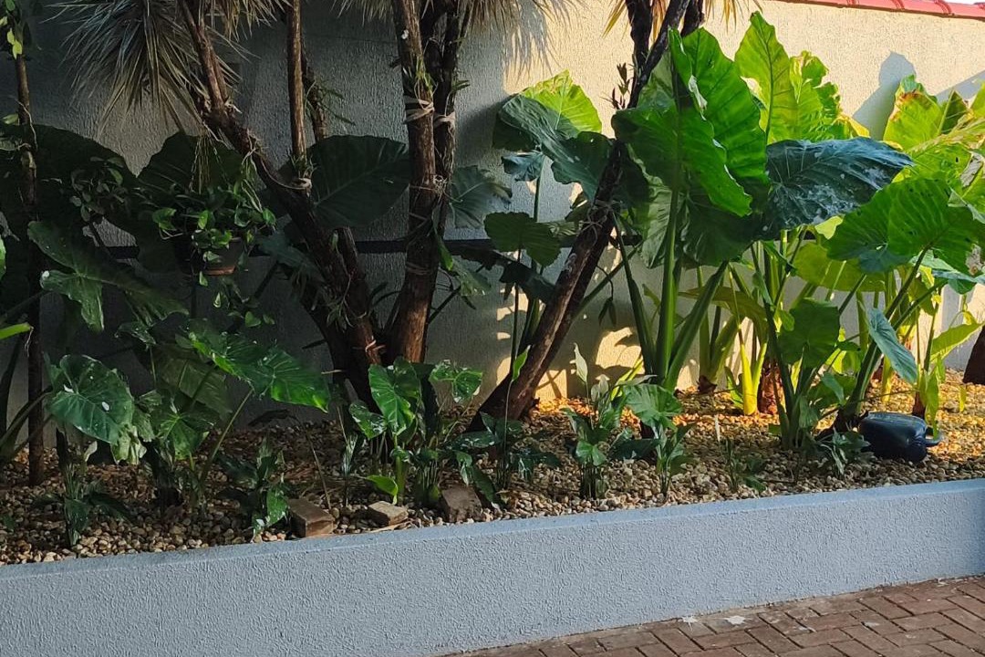Photo of Others in Quedas do Iguacu
