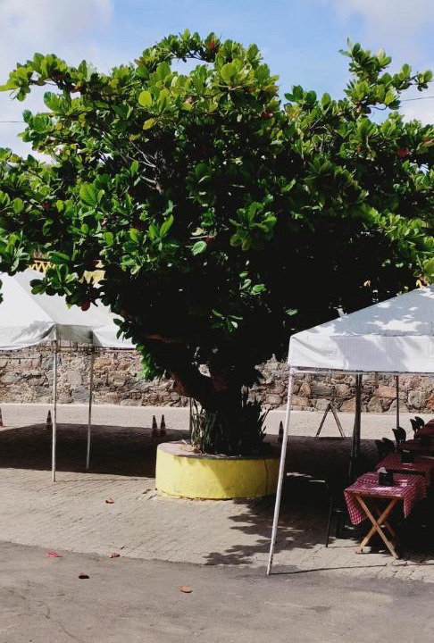 Photo of Outdoor in Piranhas