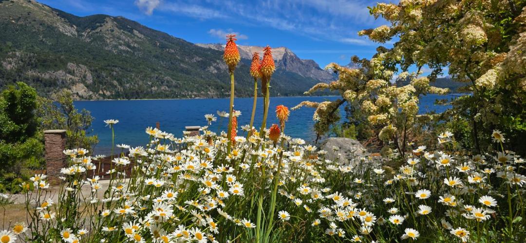 Photo of Others in San Carlos de Bariloche