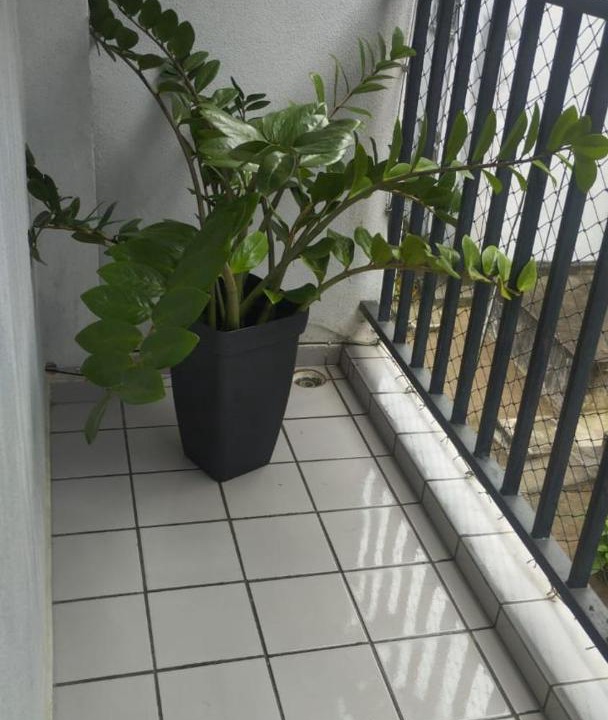 Photo of Patio Balcony in Dinamerica