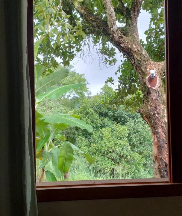 Photo of Others in Northeast Region