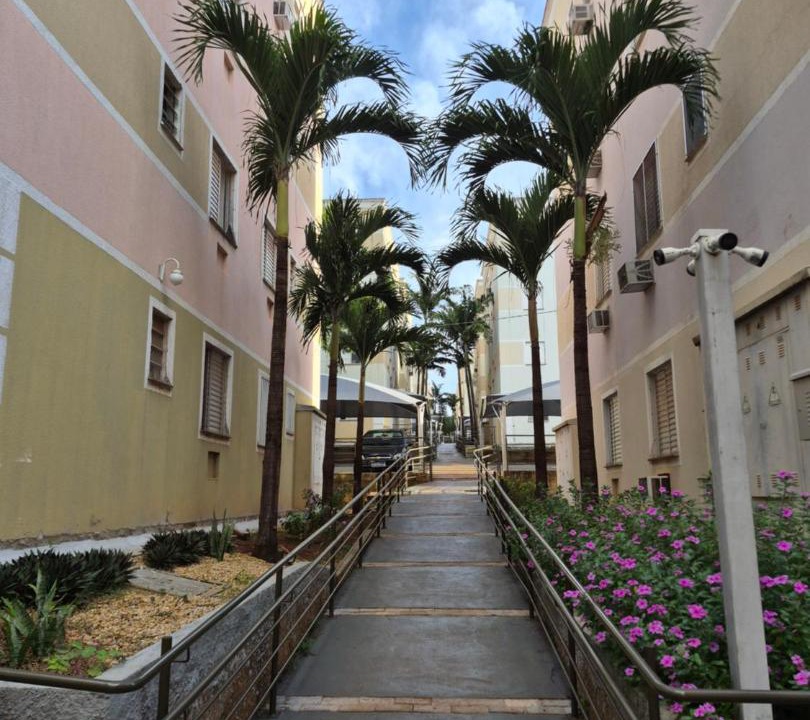 Photo of Others in Ribeirao Preto
