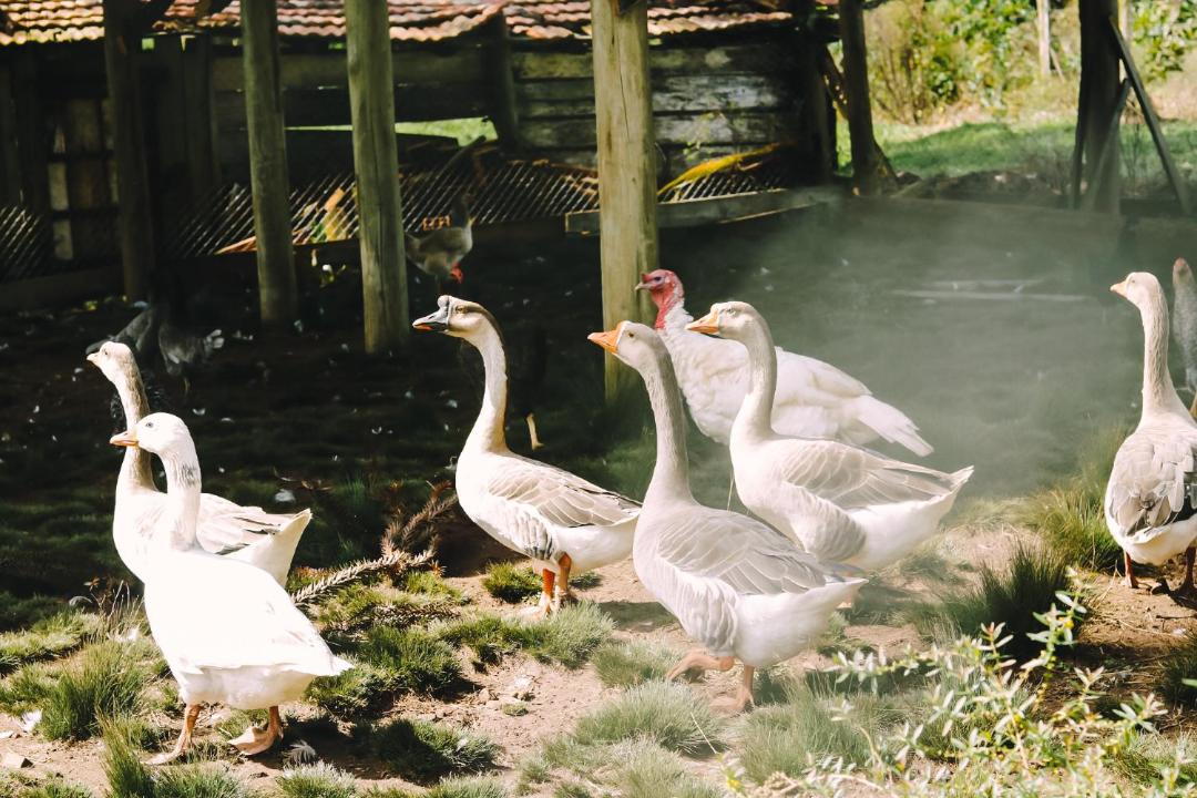 Photo of Others in Rio Rufino