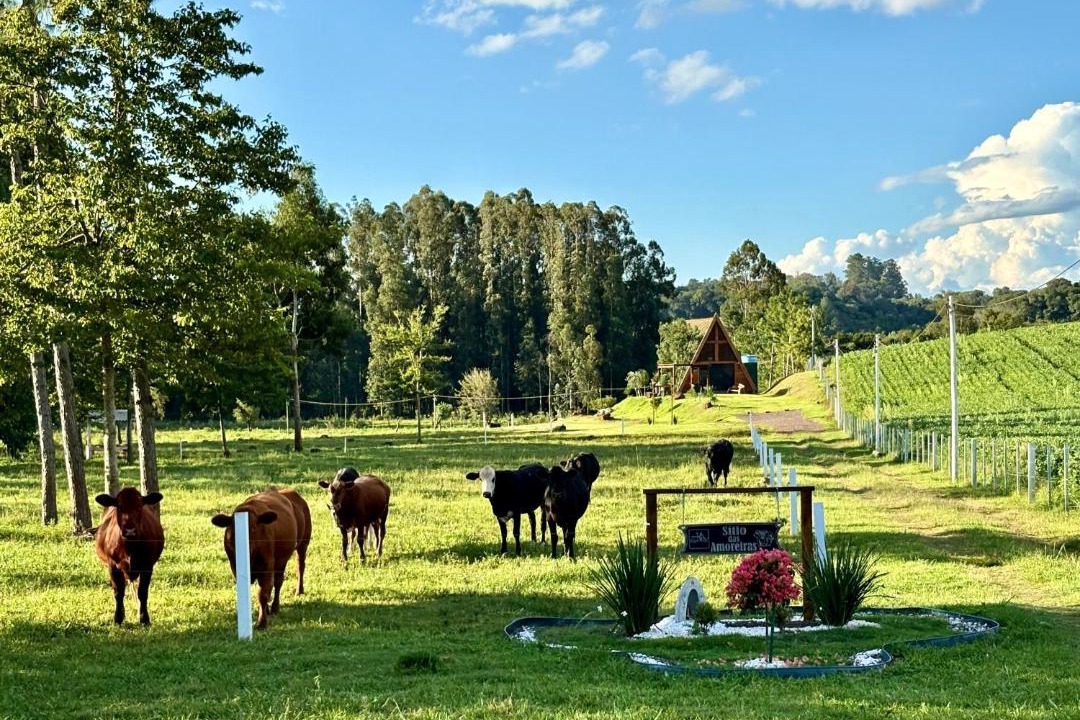 Photo of Others in Panambi