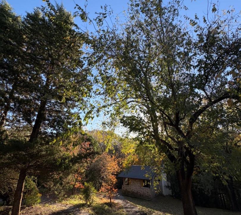 Photo of Outdoor in San Antonio de Arredondo
