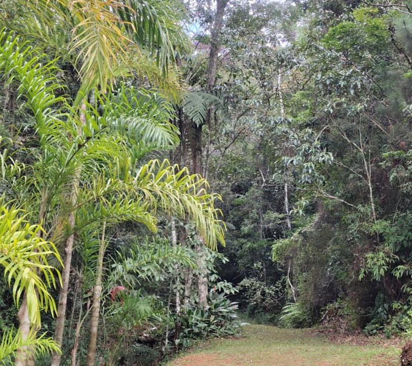 Photo of Others in Santa Teresa