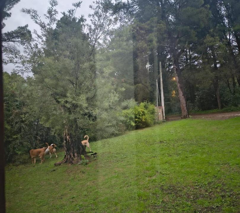 Photo of Others in Villa Ventana