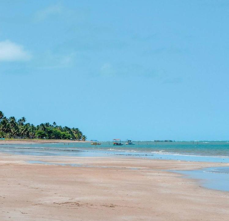 Photo of Others in Tatuamunha