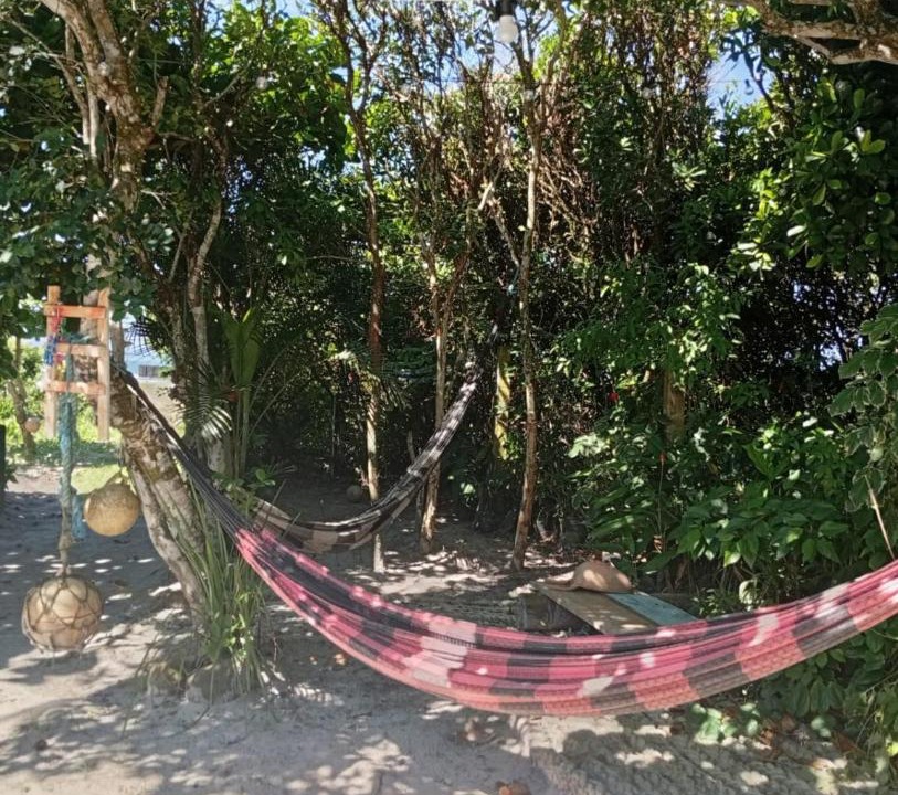 Photo of Others in Paranagua