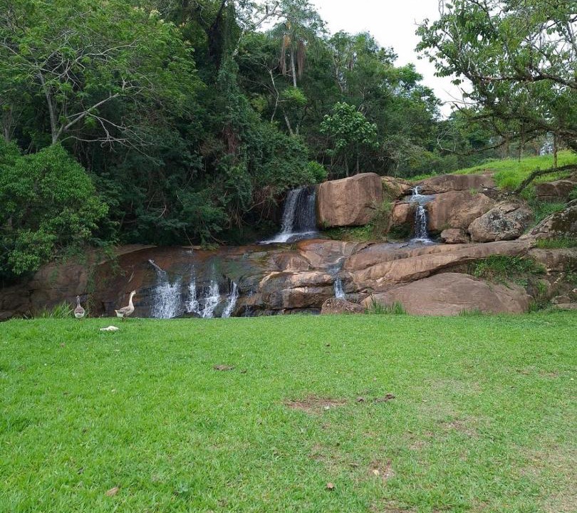 Photo of Others in Conceicao dos Ouros