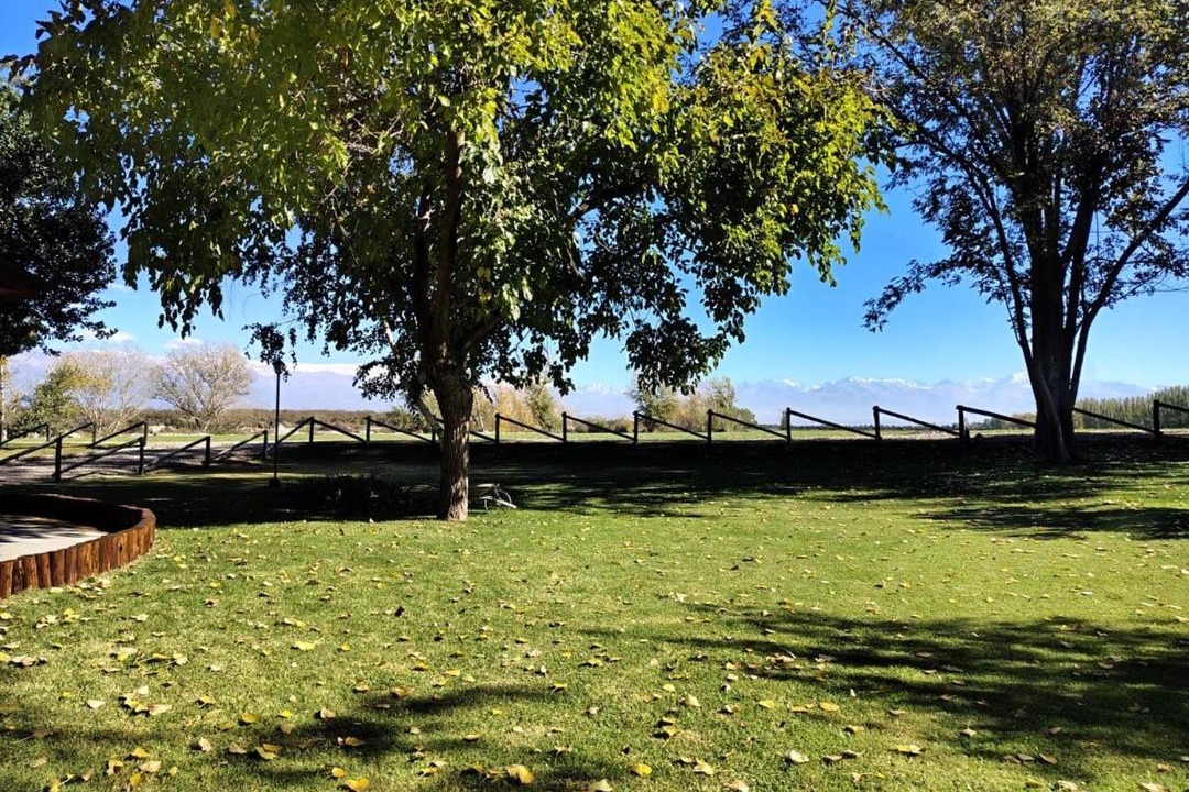 Photo of Others in Mendoza Wine Region
