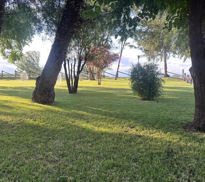 Photo of Outdoor in Mendoza Wine Region