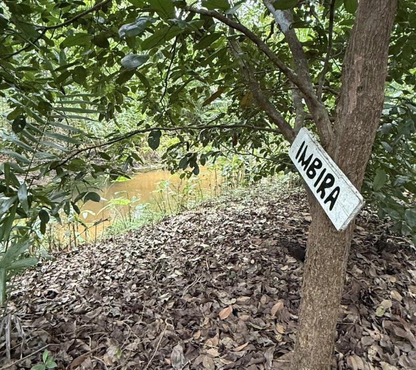 Photo of Outdoor in Barra de Camaratuba