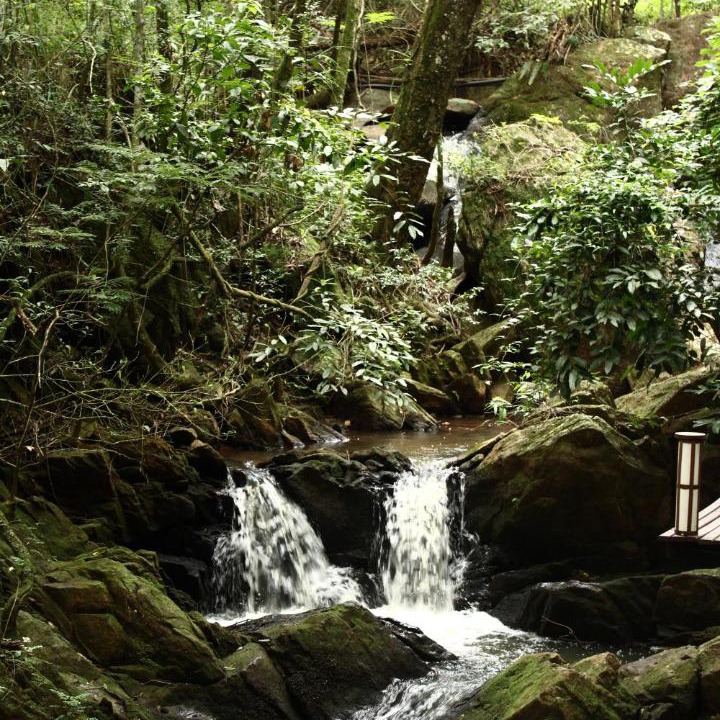 Photo of Others in Aguas de Lindoia
