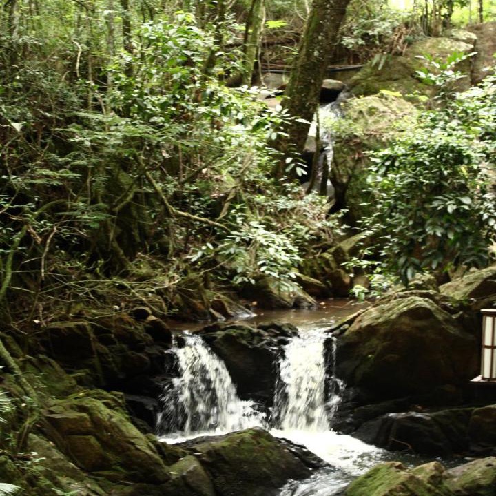 Photo of Others in Aguas de Lindoia