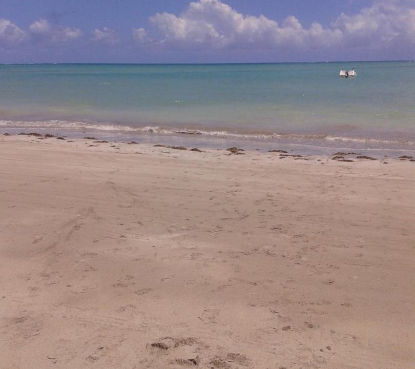 Photo of Others in Ponta do Mangue
