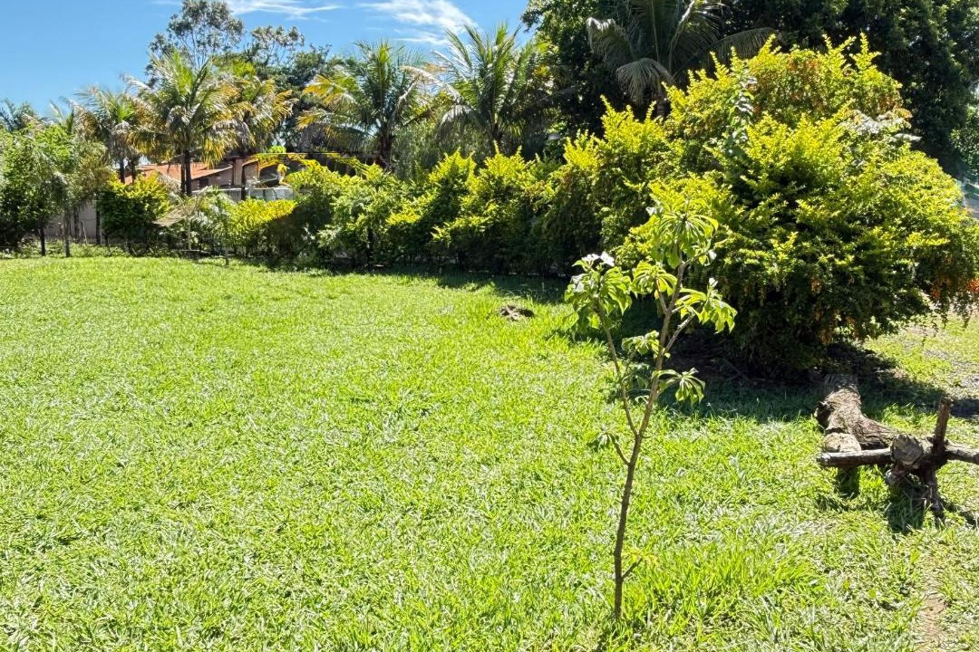 Photo of Others in Uberaba