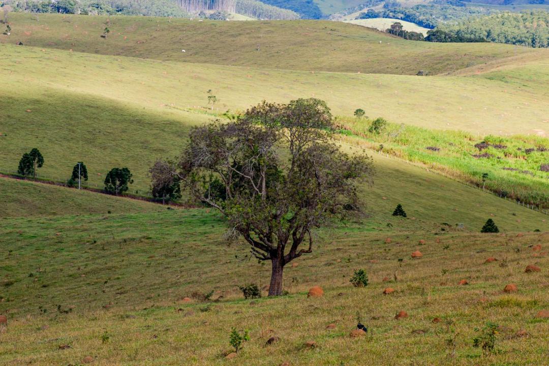 Photo of Others in Lagoinha