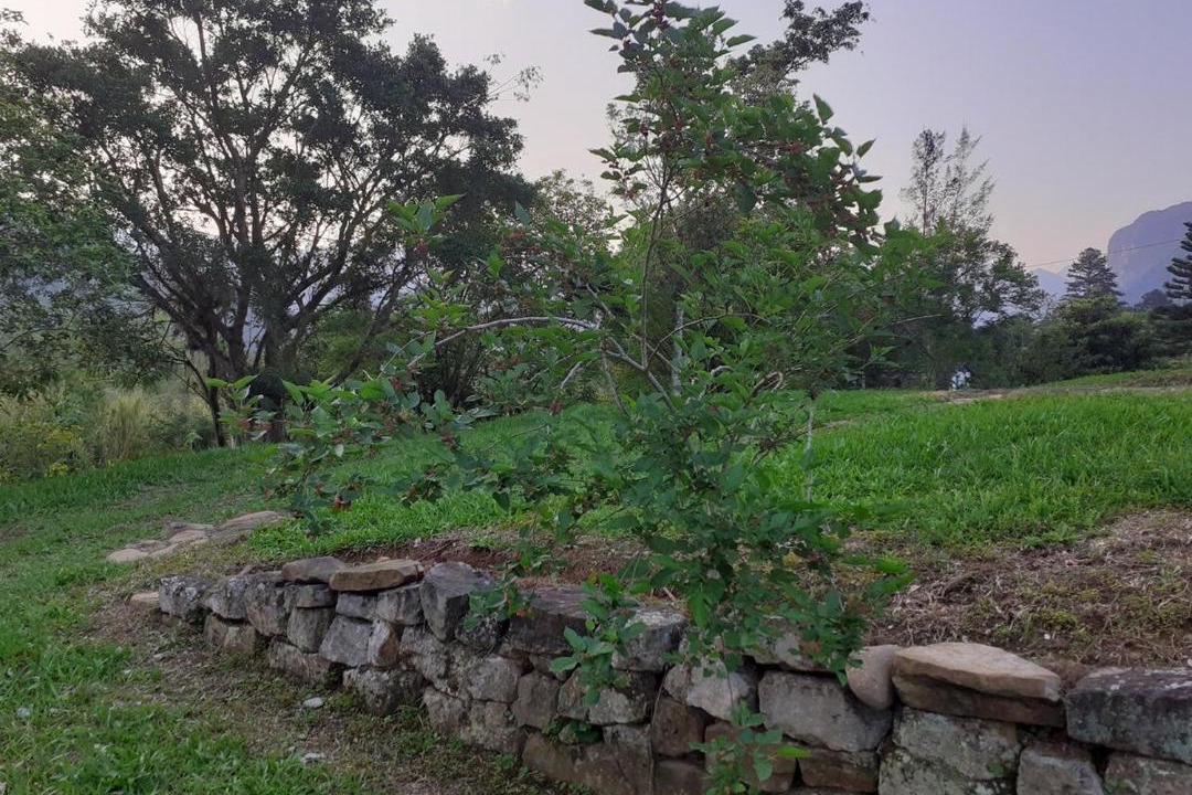 Photo of Others in Sideropolis
