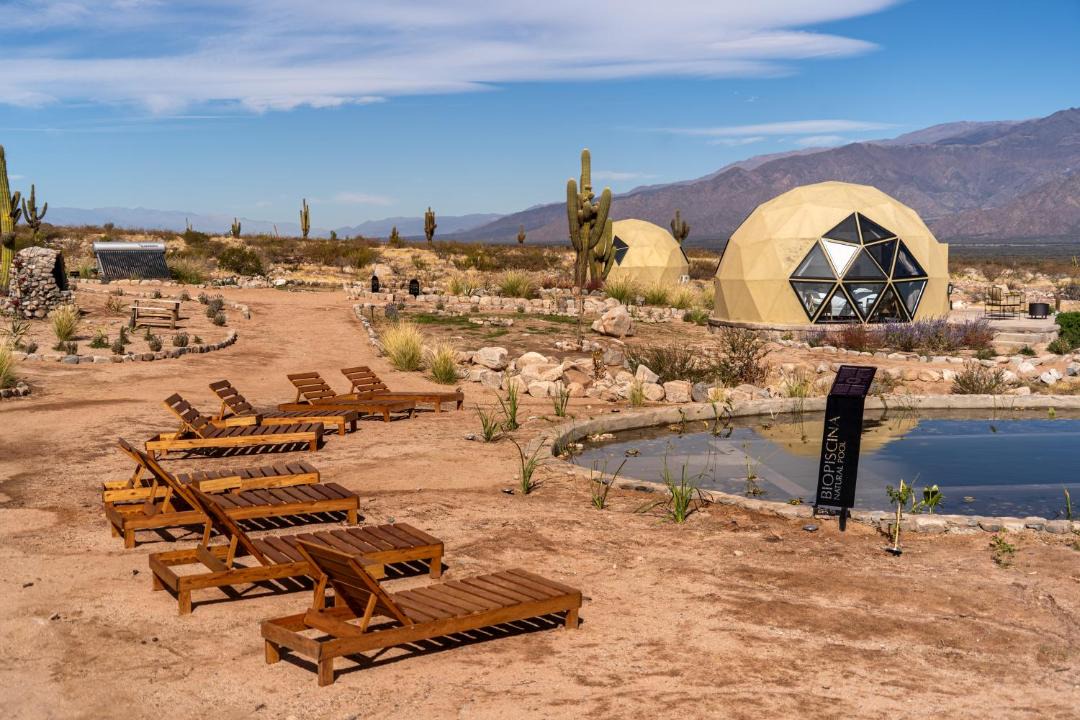 Photo of Others in Cafayate