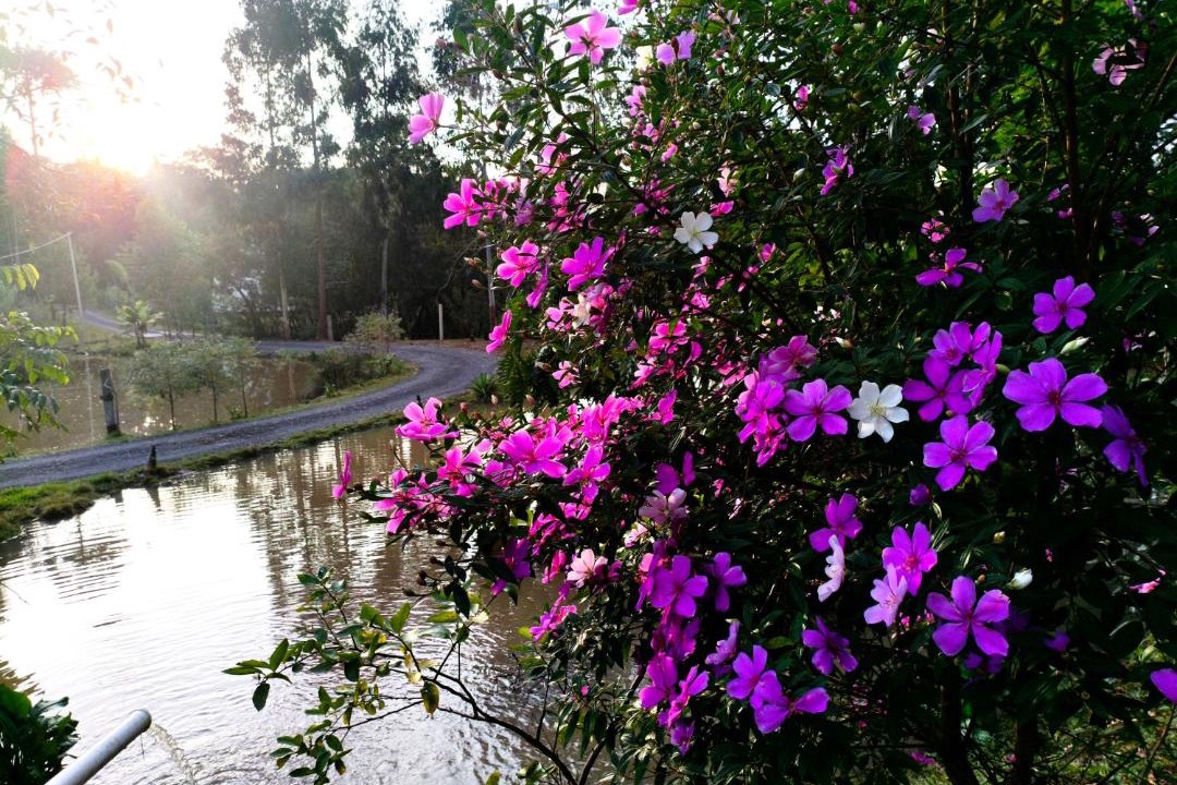 Photo of Outdoor in Prudentopolis