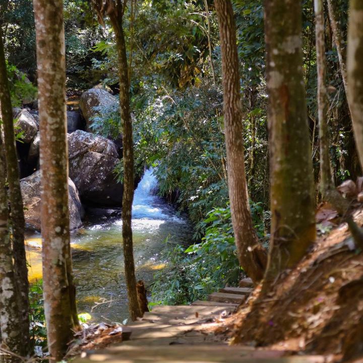 Photo of Others in Caparao National Park