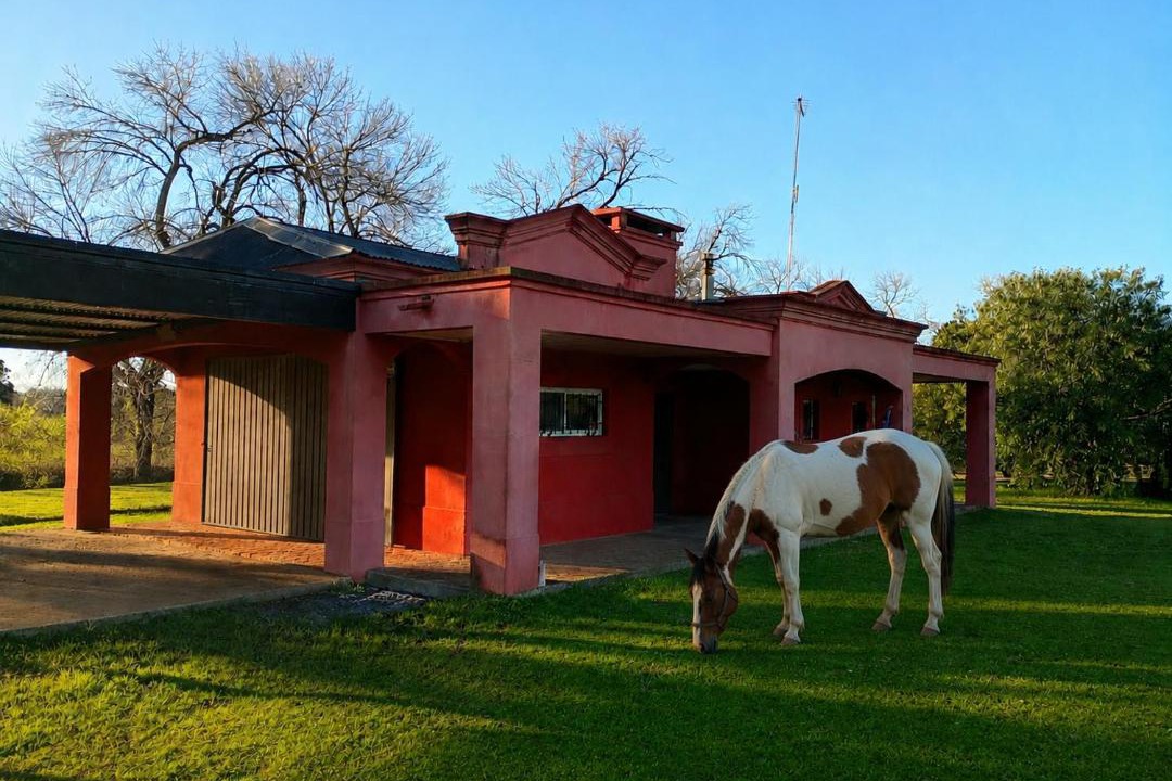 Photo of Others in Pilar Centro