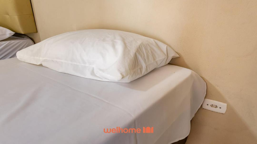 Photo of Others in Palmeiras