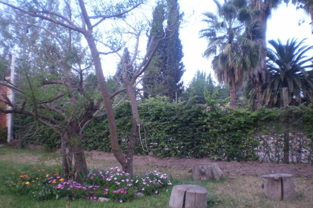 Photo of Others in Guaymallen