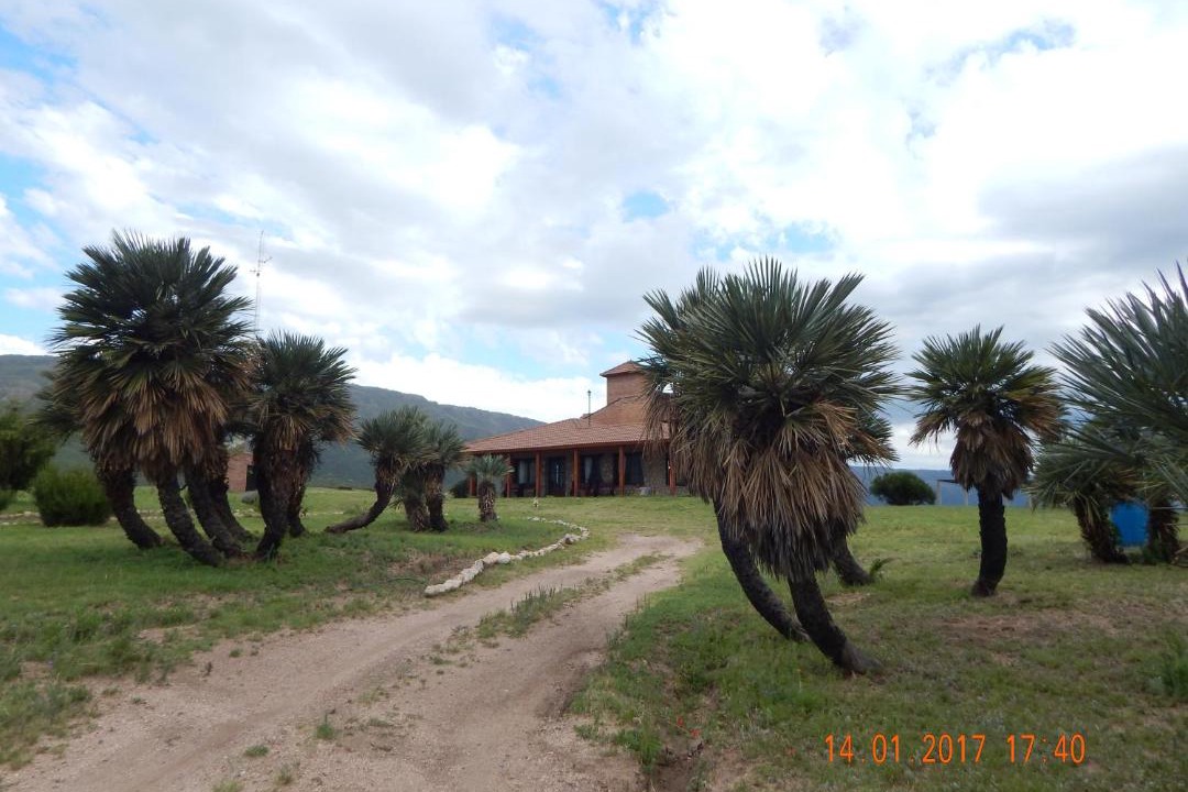 Photo of Others in Chacabuco Department
