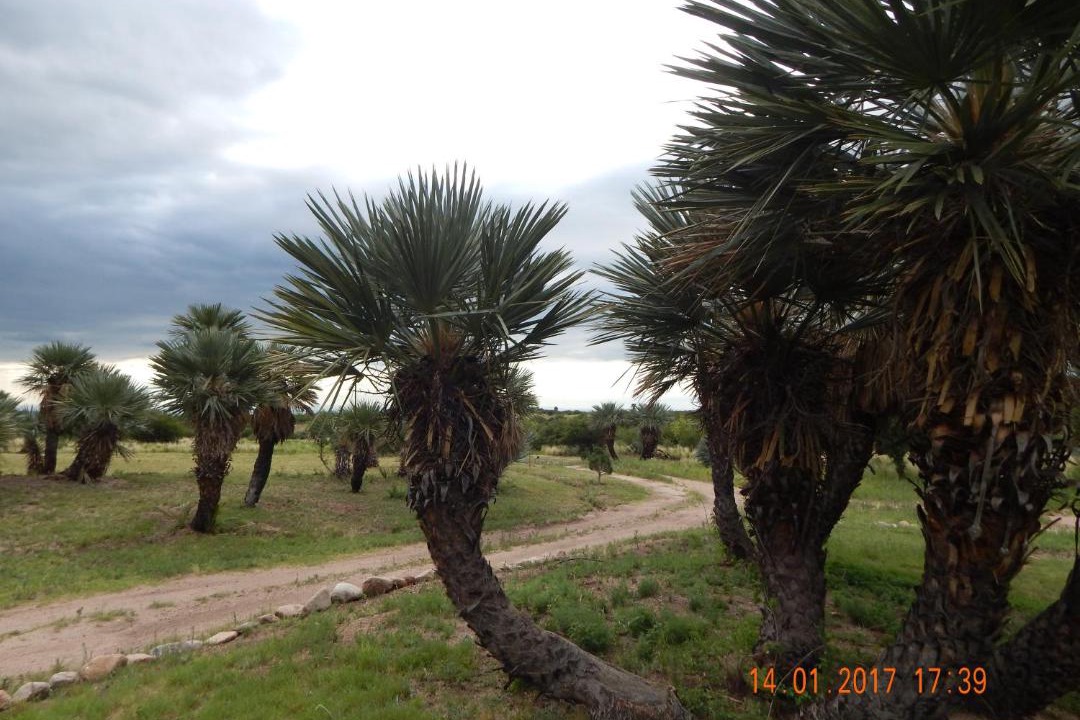 Photo of Others in Chacabuco Department