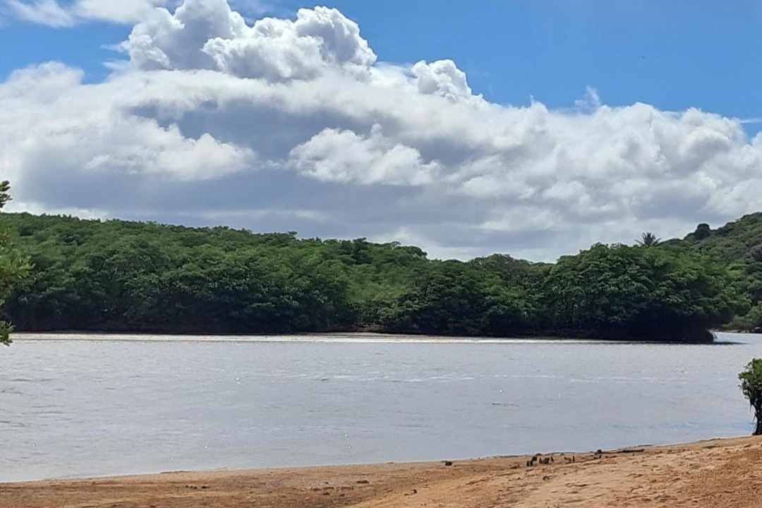 Photo of Others in Mucumagro