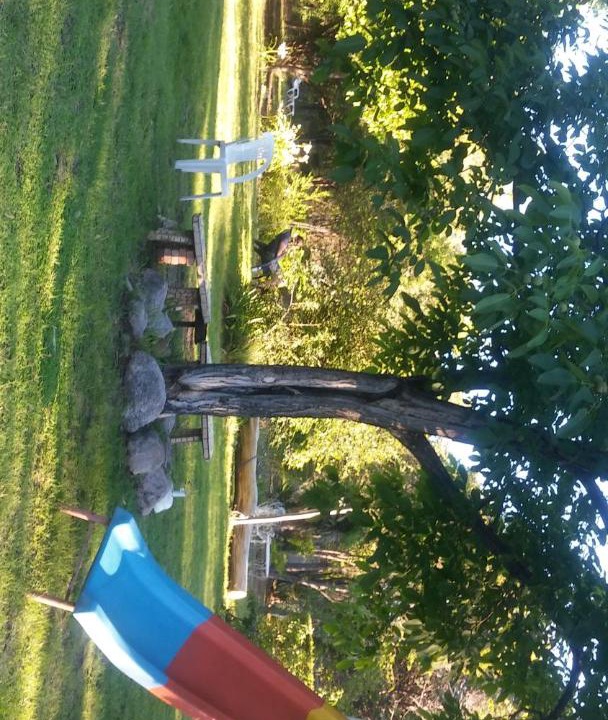 Photo of Others in General San Martin