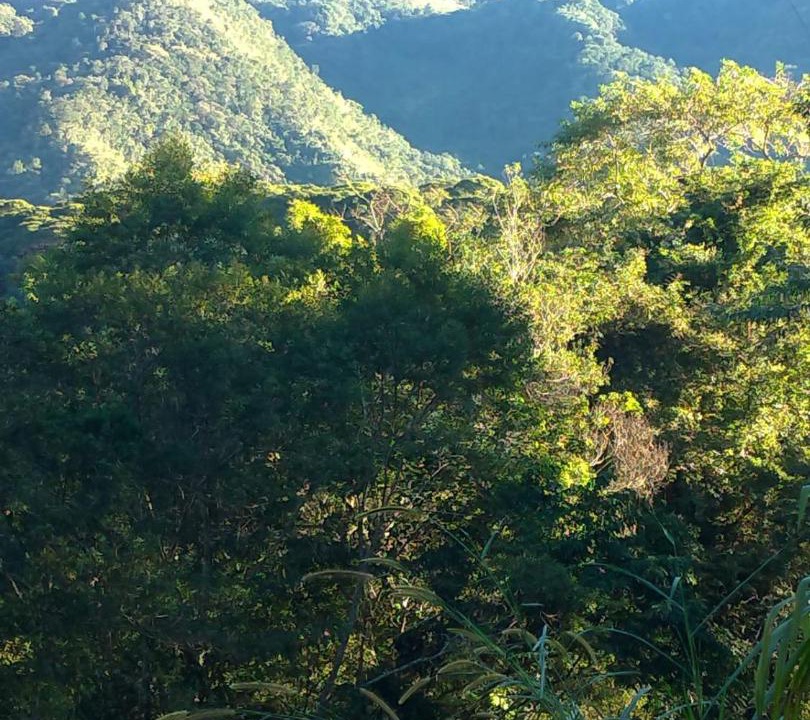 Photo of Others in Iporanga