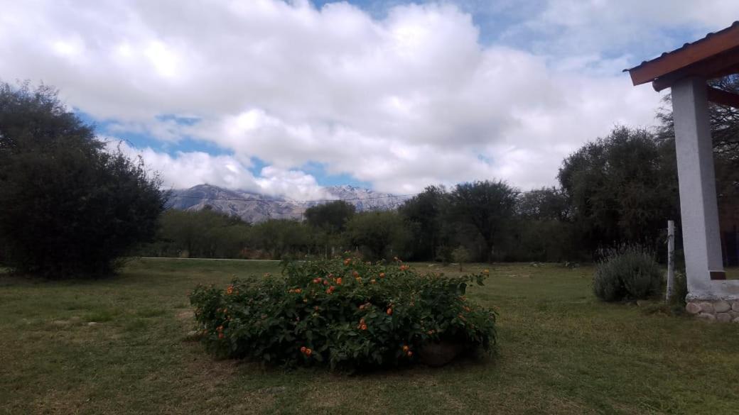 Photo of Others in Las Rosas