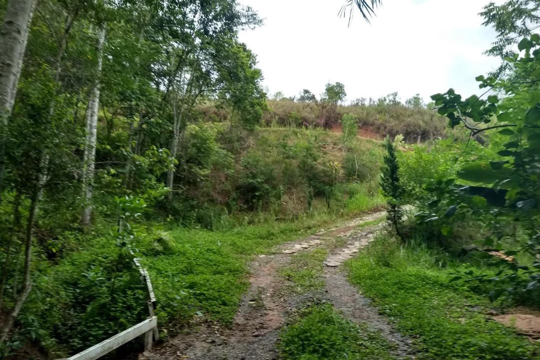 Photo of Others in Guararema