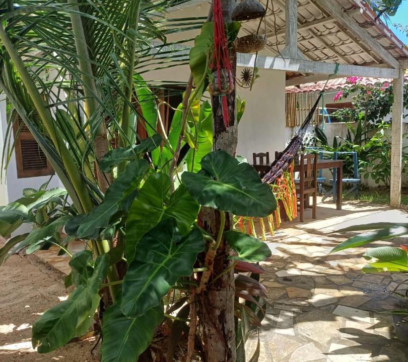 Photo of Others in Icarai de Amontada