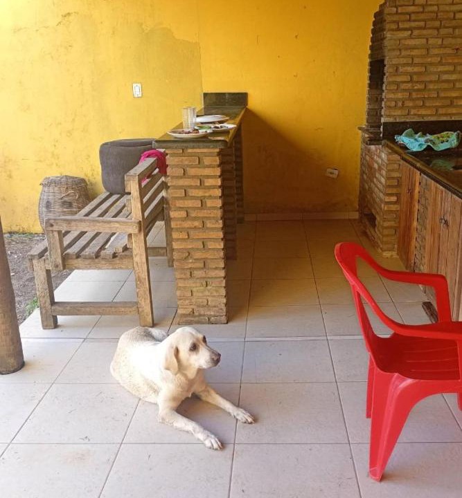 Photo of Others in Ponta da Tulha