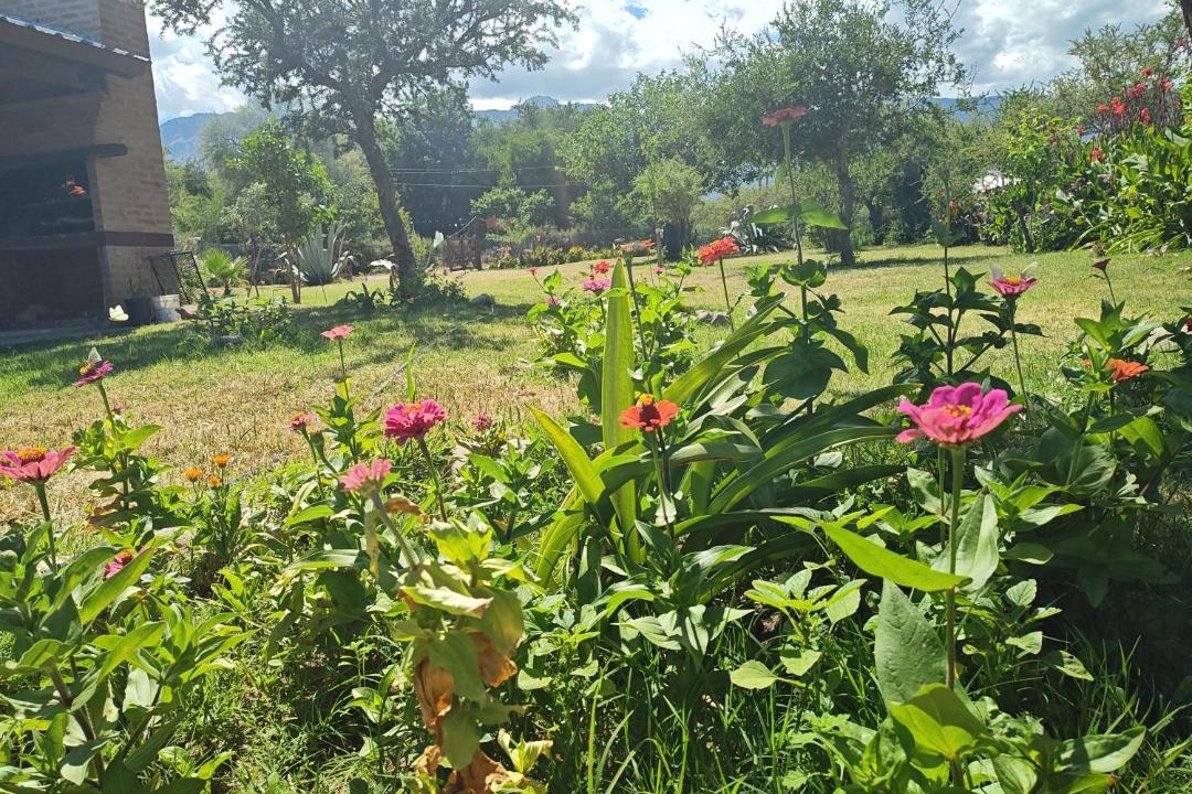 Photo of Outdoor in San Javier