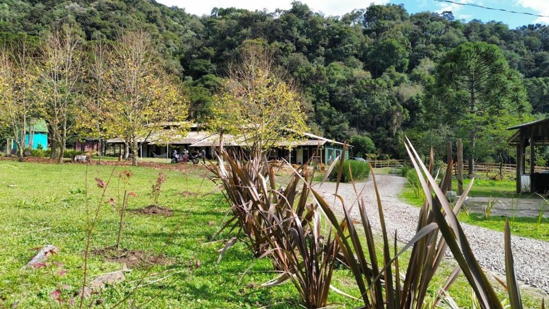 Photo of Others in Urubici