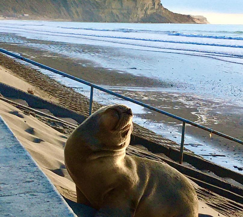 Photo of Others in Rada Tilly