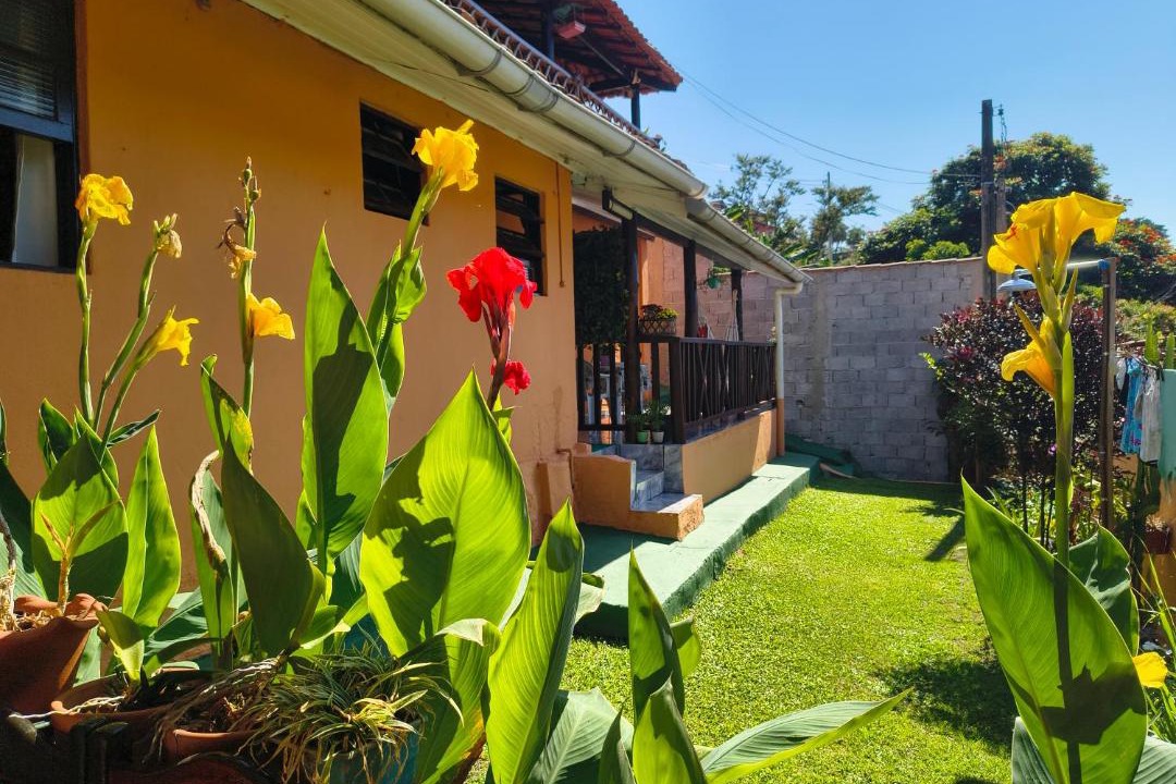 Photo of Others in Barra Velha
