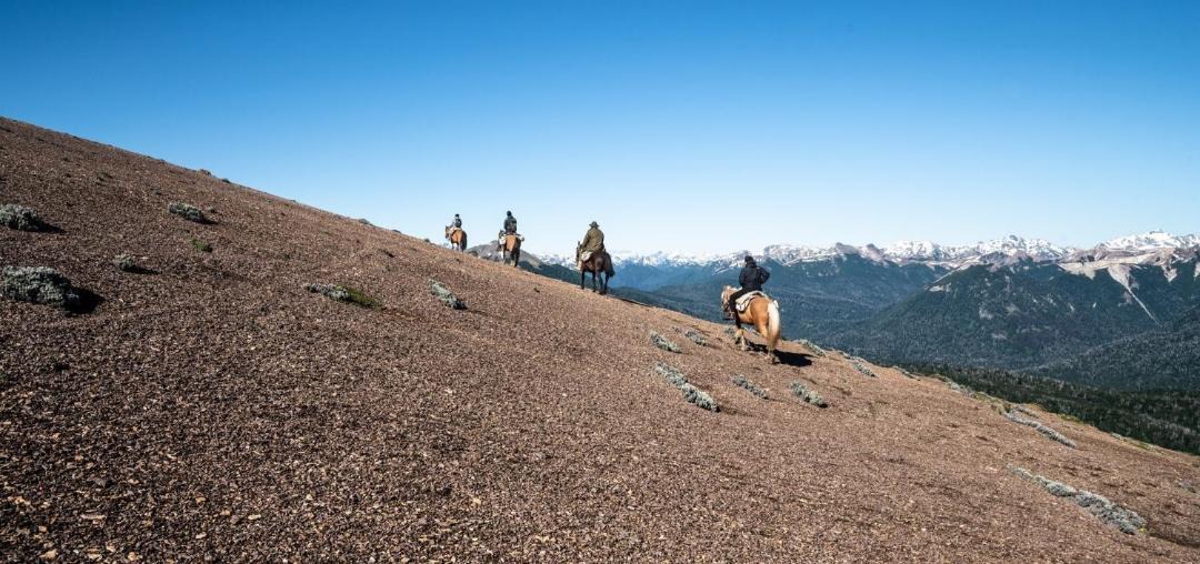 Photo of Others in Lanin National Park