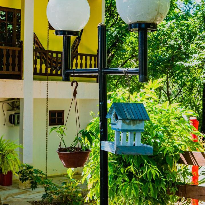 Photo of Others in Pirenopolis