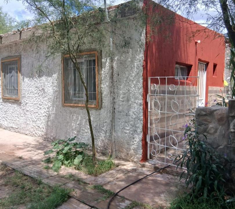 Photo of Others in Tinogasta