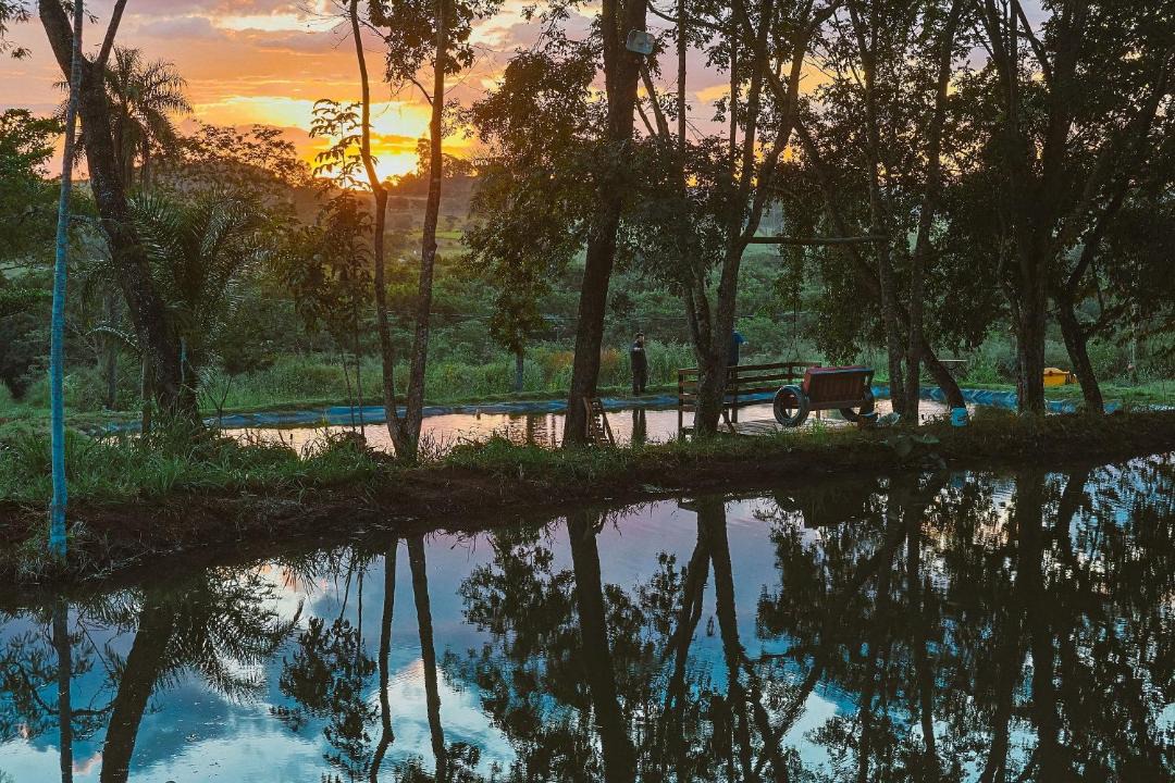 Photo of Others in Uberlandia