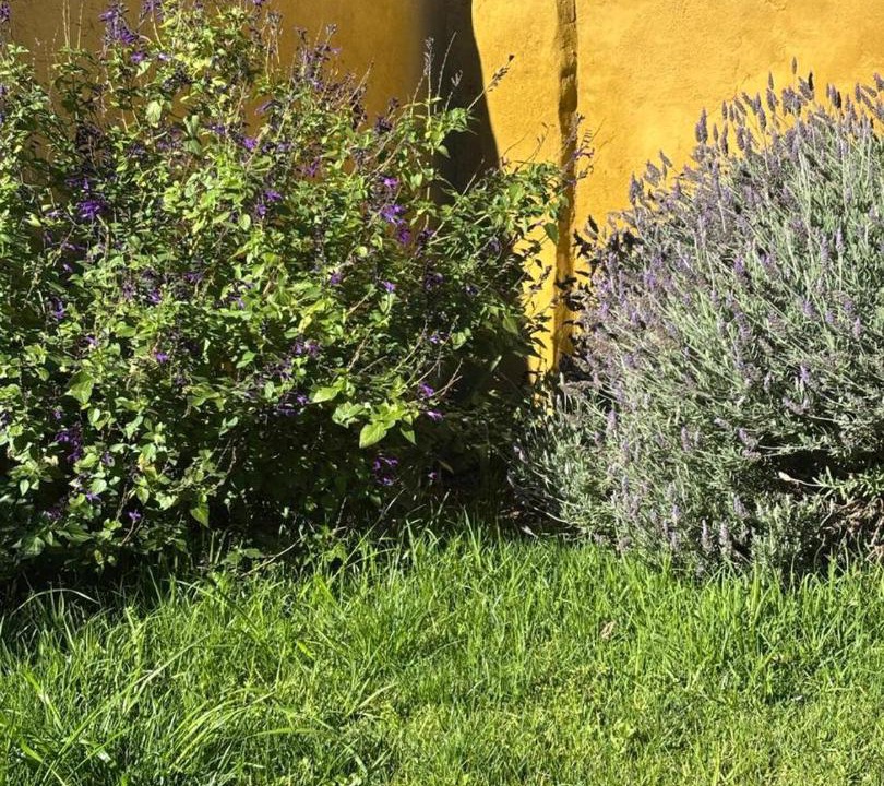 Photo of Outdoor in Villa Mercedes
